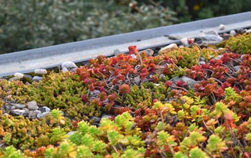 the cost of Penponds green roof installation