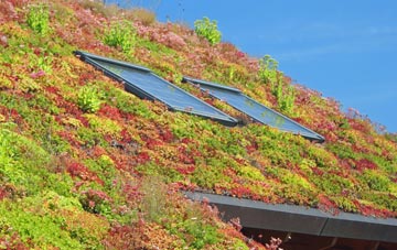 Penponds living roof systems